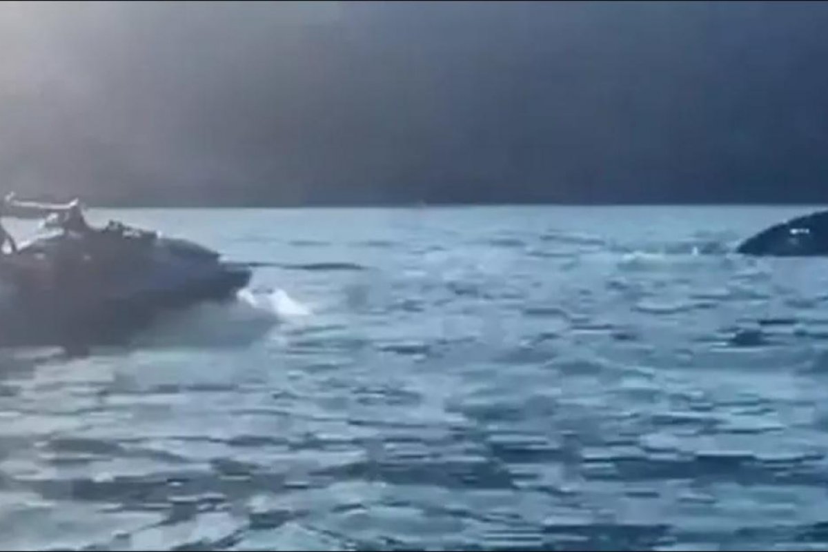 PF não vê crime de Bolsonaro em caso da baleia