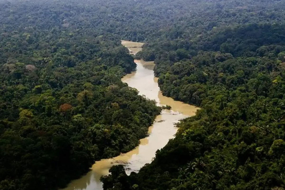 Seca extrema levou a umidade mínima, temperatura máxima e solo quente na amazônia central