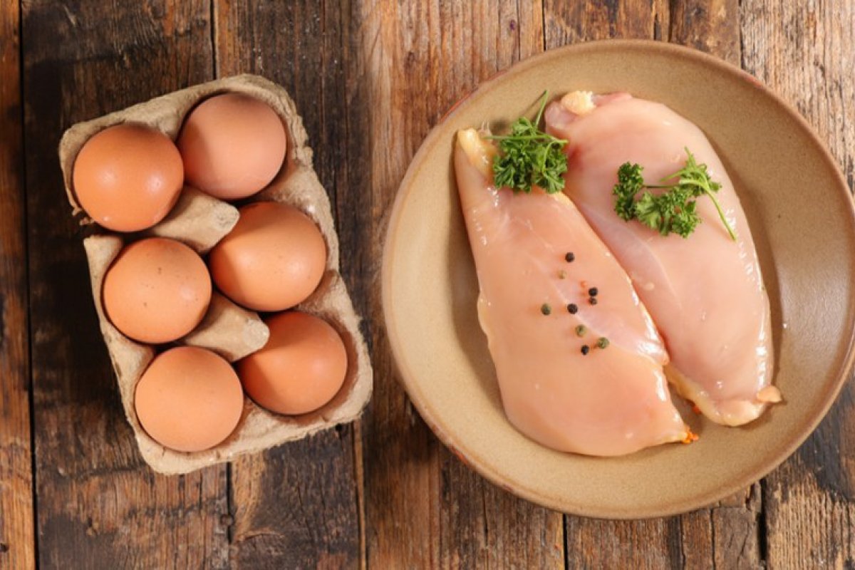 Brasil exportará ovos e carnes de aves para El Salvador