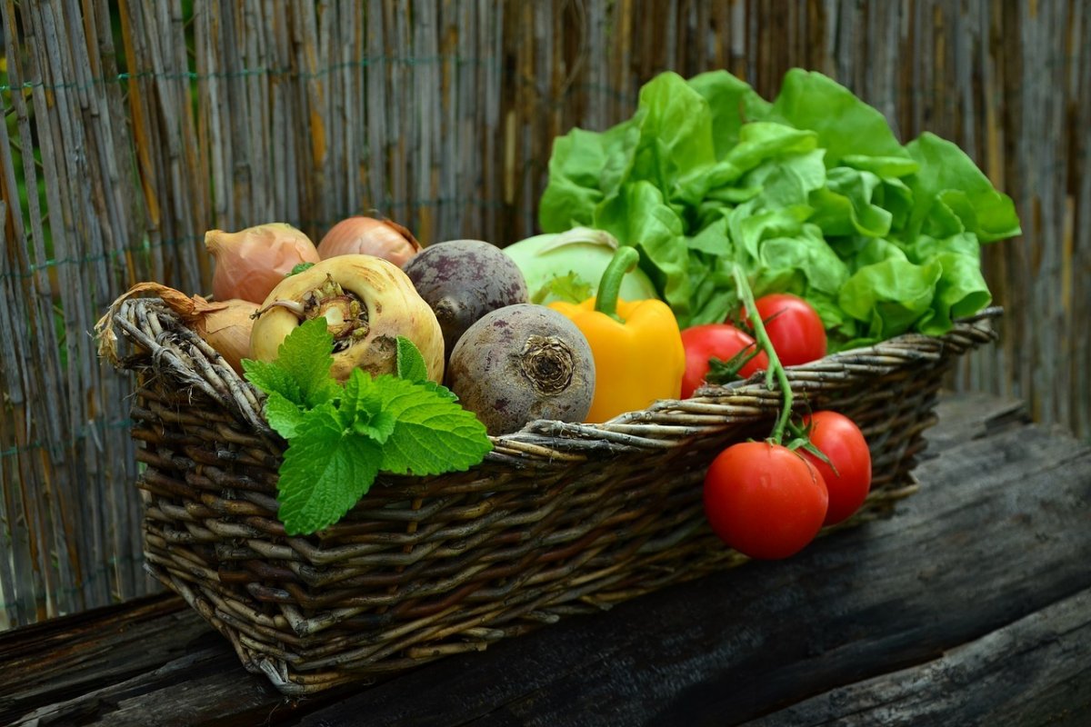 Câncer: confira os alimentos que ajudam a diminuir o risco de tumores