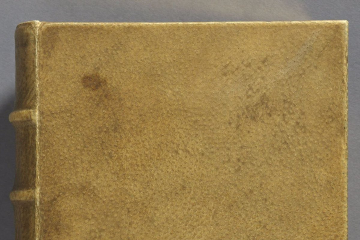 Livro encadernado com pele humana é apresentado em feira literária de Nova York