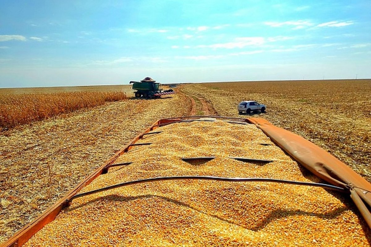 Faturamento do setor agropecuário atinge recorde de R$ 630 bilhões em 2019, aponta ministério