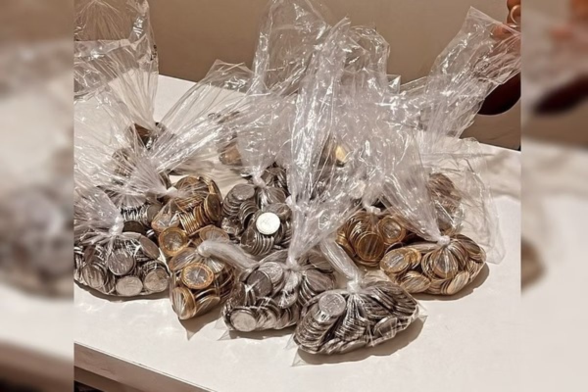 Família usa moedas guardadas com objetivo de comprar carro para salvar cachorro