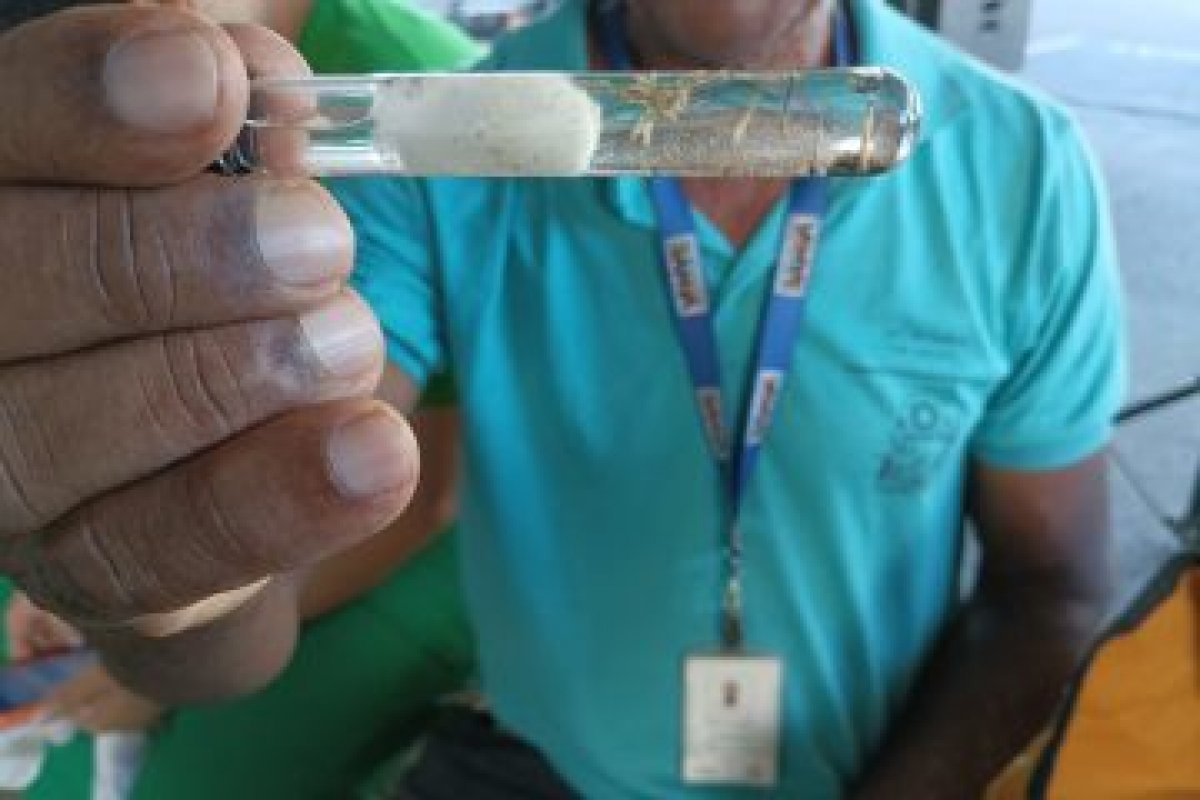 Vitória da Conquista lidera topo do ranking de registros de dengue