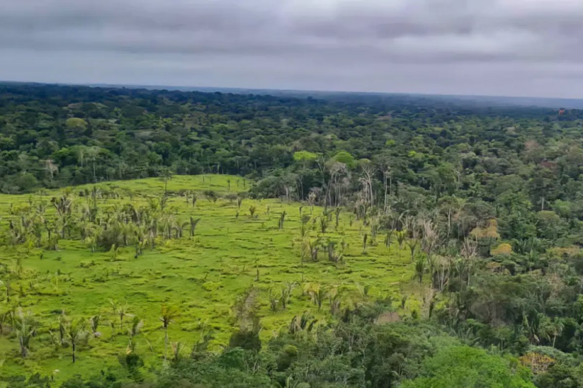 Procuradoria Federal dos Direitos do Cidadão manifesta preocupação com aumento da violência