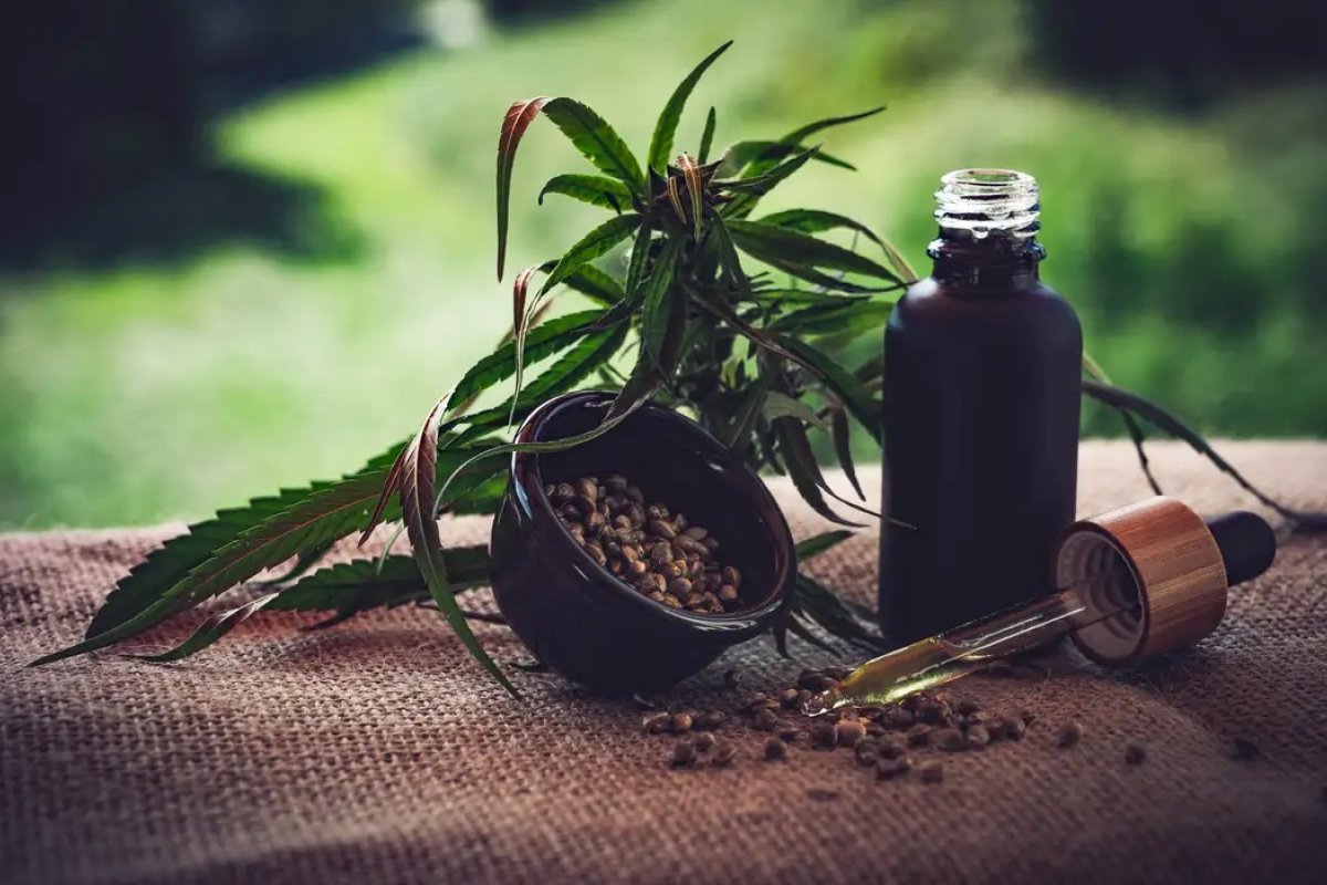 Estudante ganha autorização judicial para cultivar cannabis para fins medicinais na Bahia