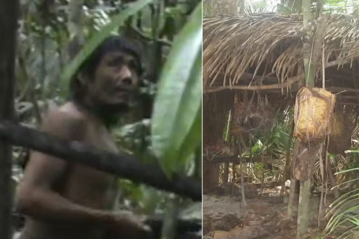 Governo não cumpre decisão do STF em demarcar terra indígena e kawahivas ficam ameaçados de extinção na Amazônia