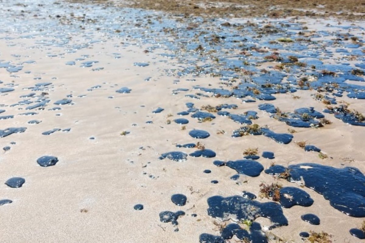 Mais de 900 localidades foram atingidas por manchas de óleo no litoral brasileiro, segundo Ibama