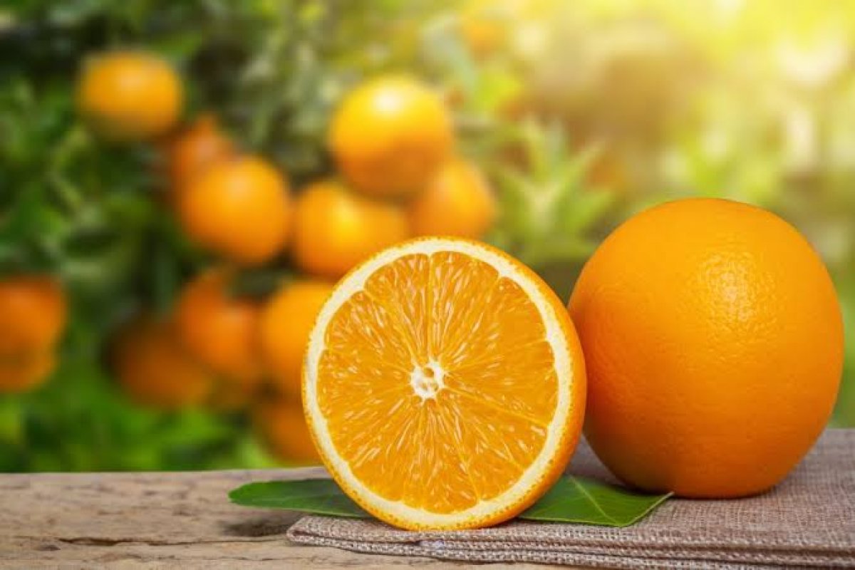 Pesquisa revela as 5 frutas mais saudáveis do mundo!