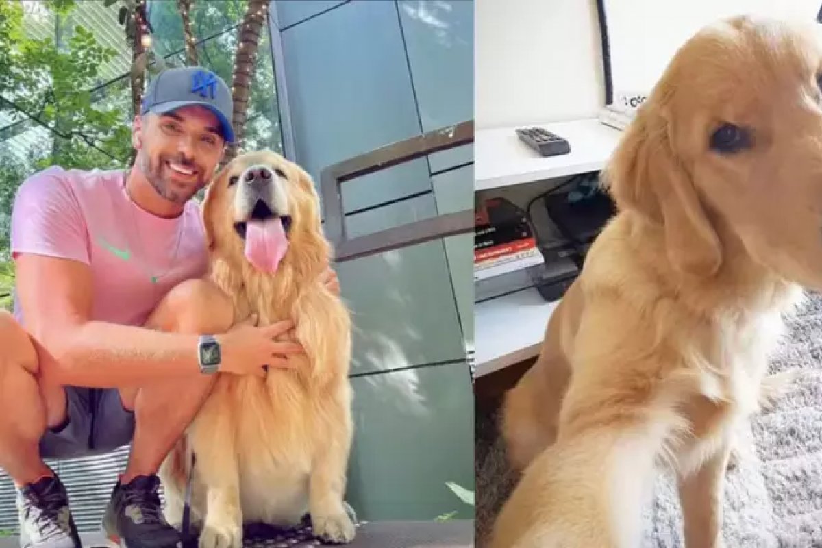 Ministério dos Aeroportos e Anac vão investigar morte do cão Joca