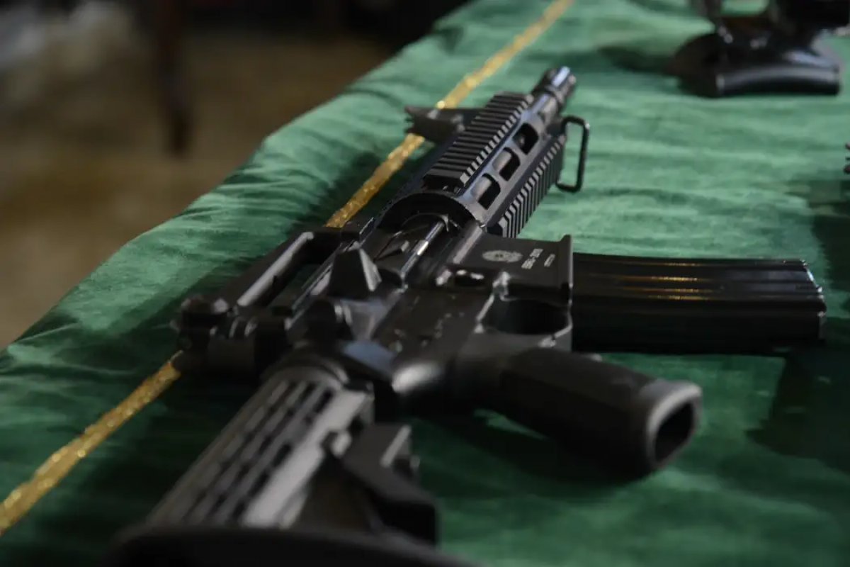 Projeto que libera estados legislarem sobre armas avança na Câmara