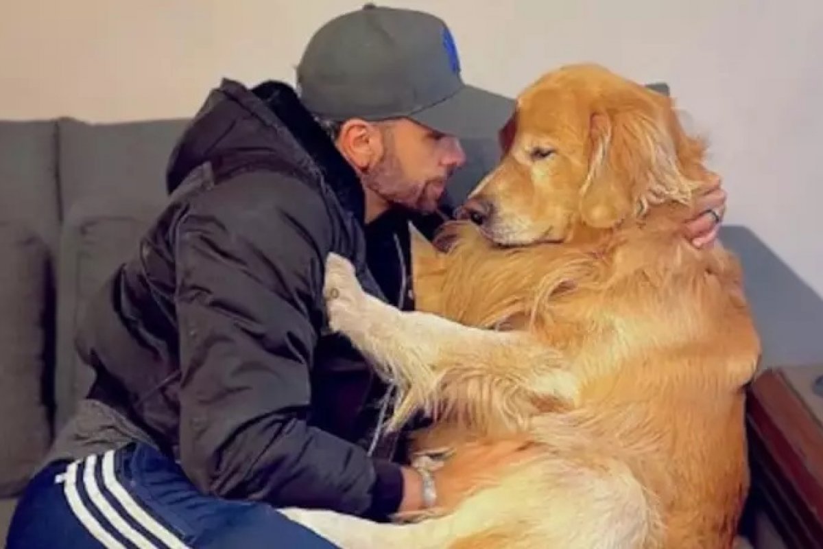 Família tutora fala em 'luta' após morte do cão Joca: 'Jamais iremos parar'