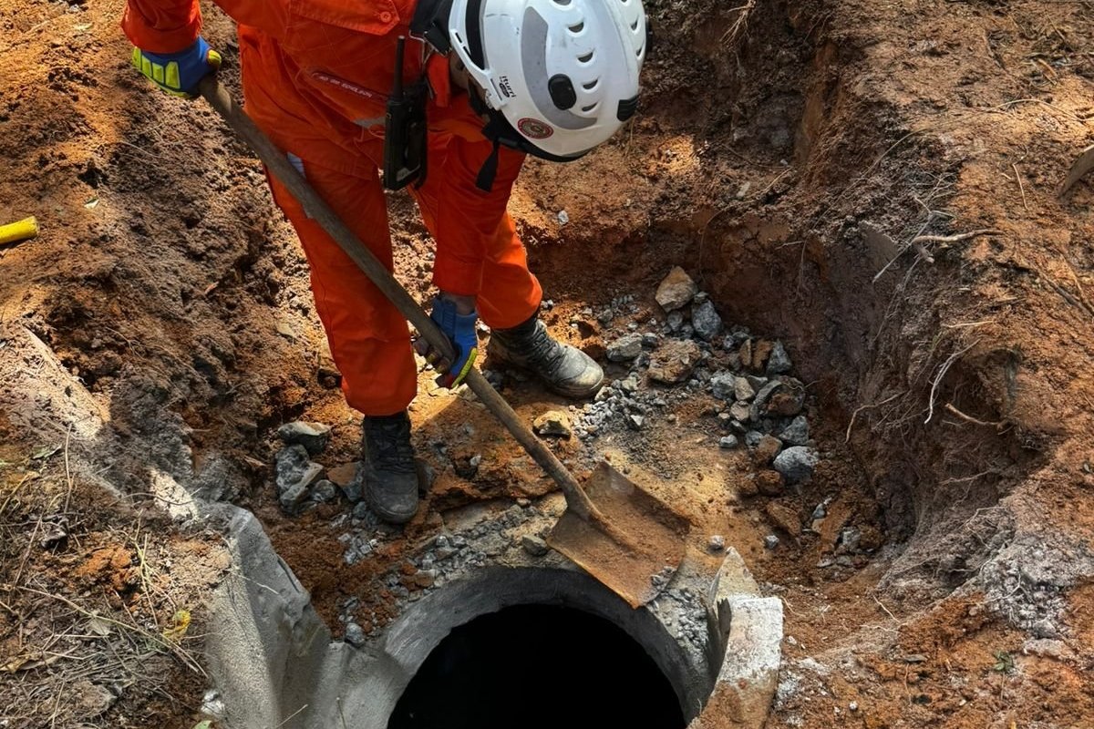 Égua que caiu em bueiro é resgatada em Salvador