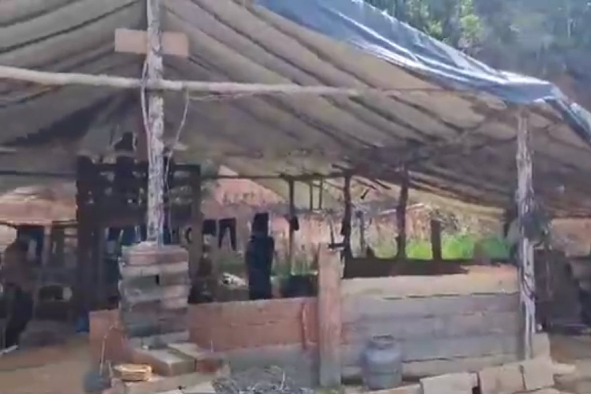 Cerca de 70 pessoas em situação análoga à escravidão são resgatadas de garimpo ilegal no Amazonas