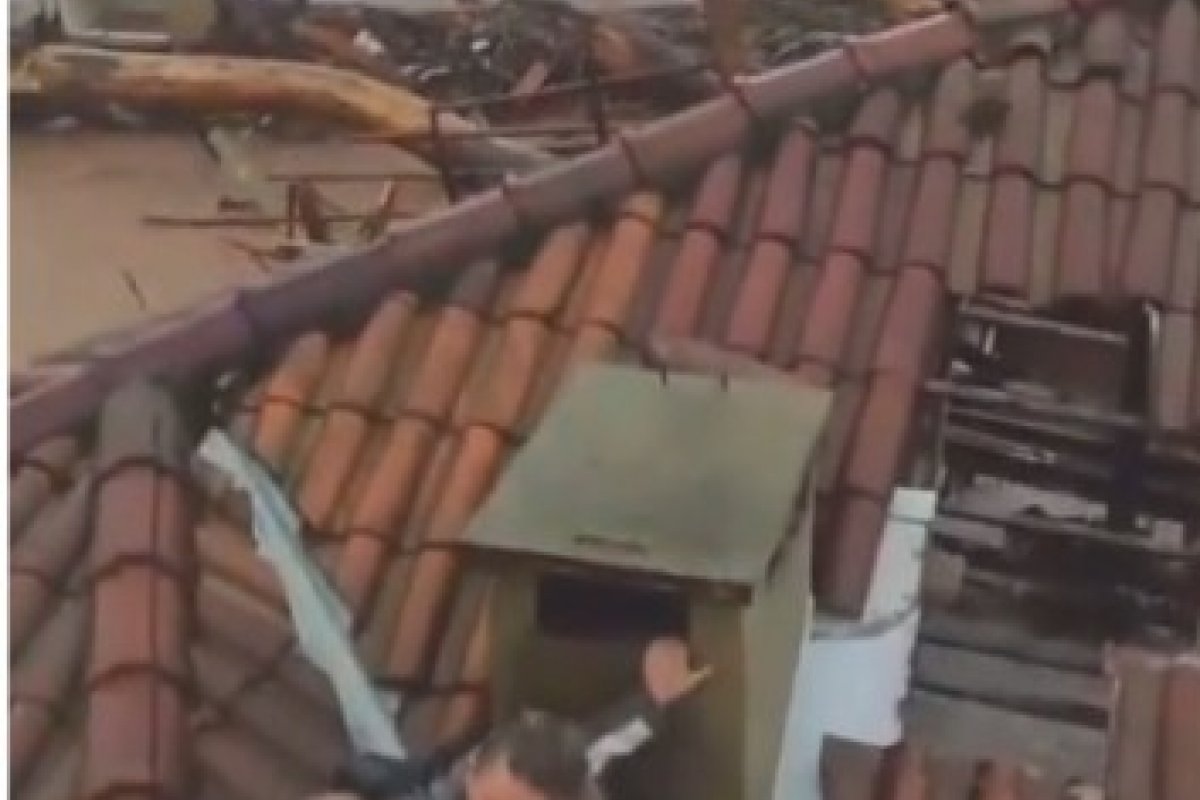 Vídeo: imagens mostram resgate de família no Rio Grande do Sul; número de mortos sobe para 31