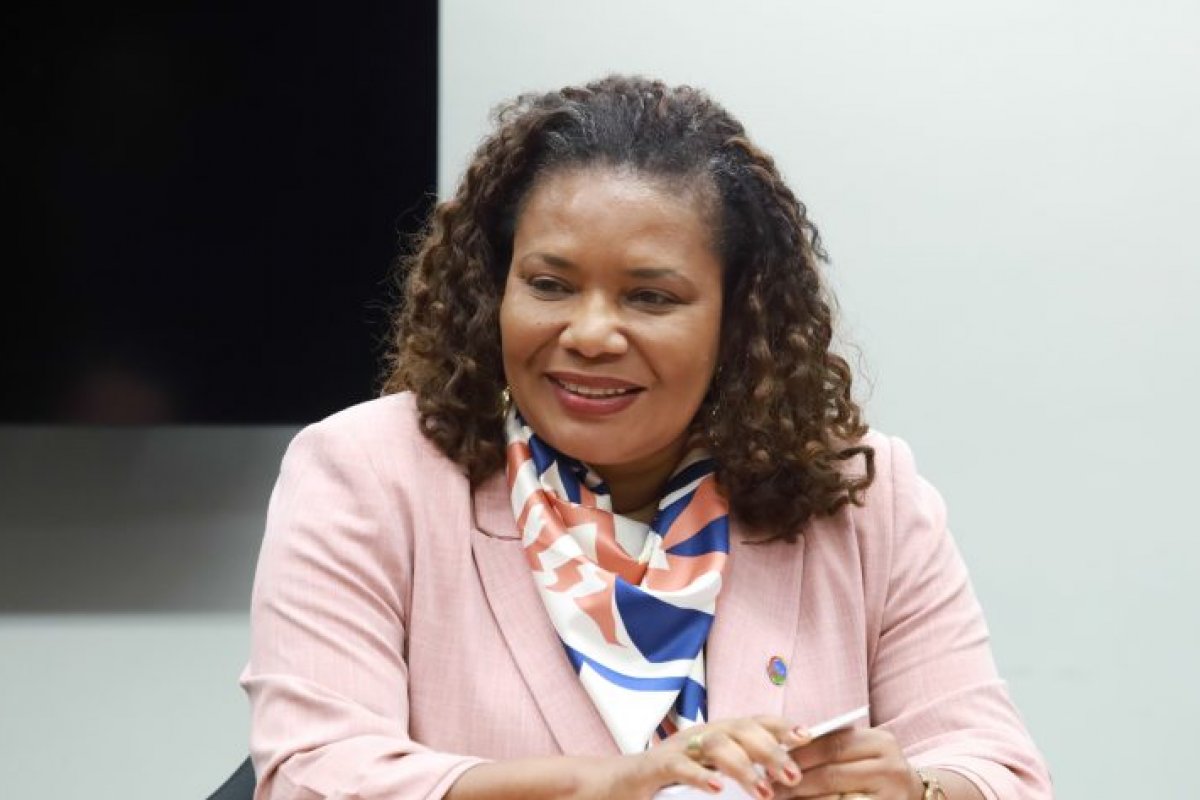 Comissões recebem ministra da Cultura para discussão sobre prioridades da pasta