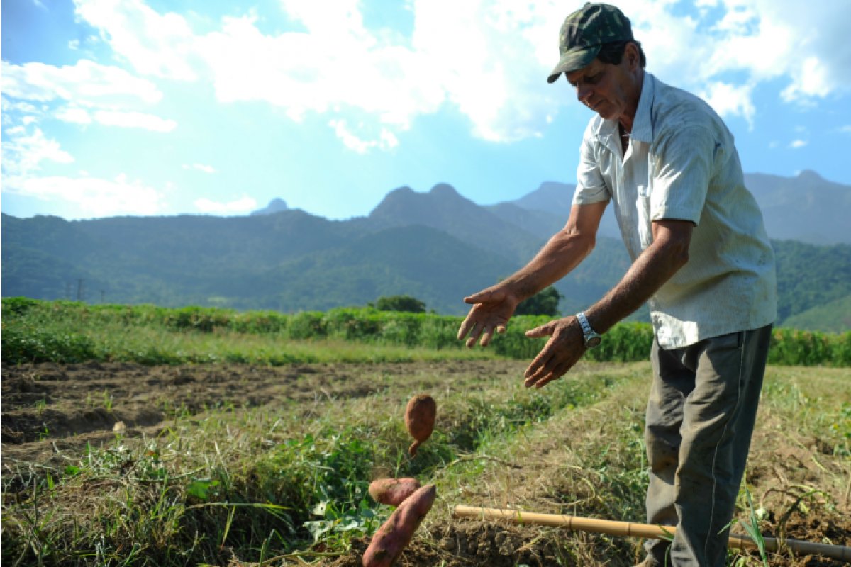 Governo envia MP que elimina prazo para cadastro ambiental rural