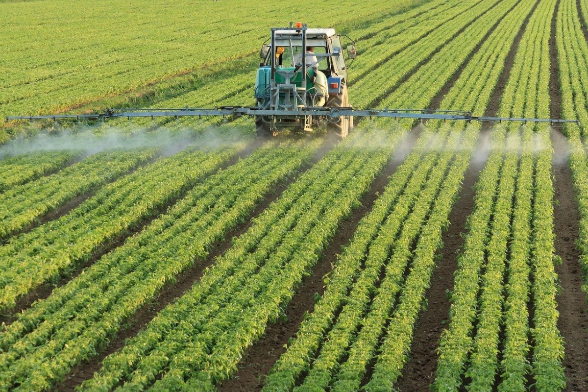 Ministério da Agricultura terá exclusividade na análise de liberação de pesticidas após derrubada de veto presidencial