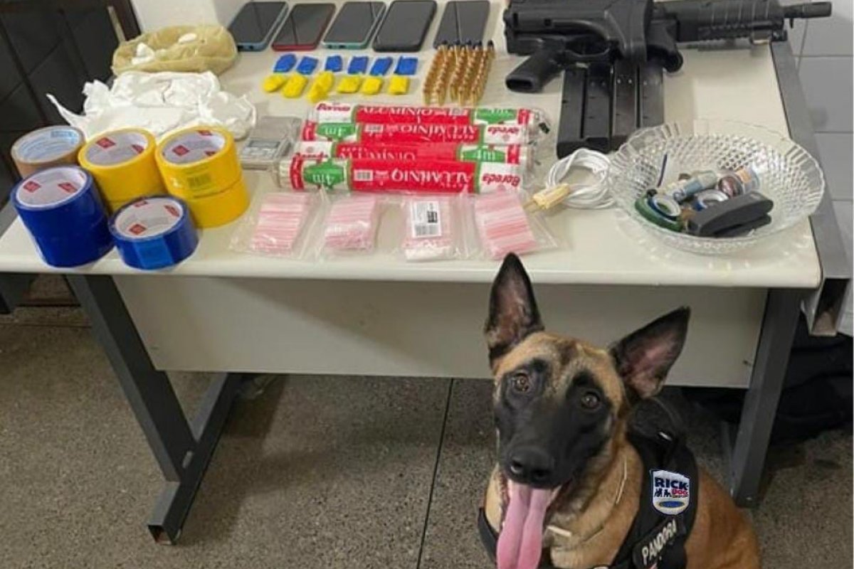 Submetralhadora e drogas são encontradas com líder de facção em Andaraí