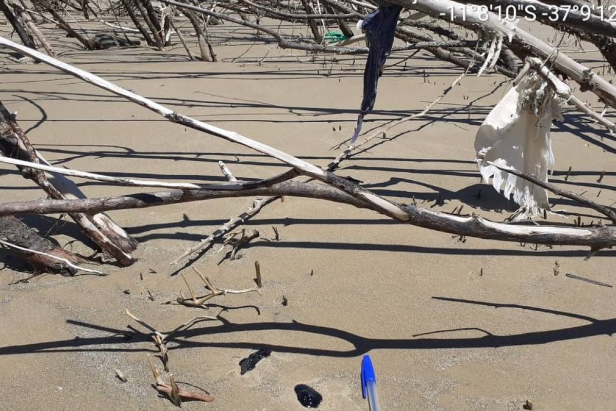 Crise após derramamento de óleo diminui, mas ainda gera preocupação nos estados