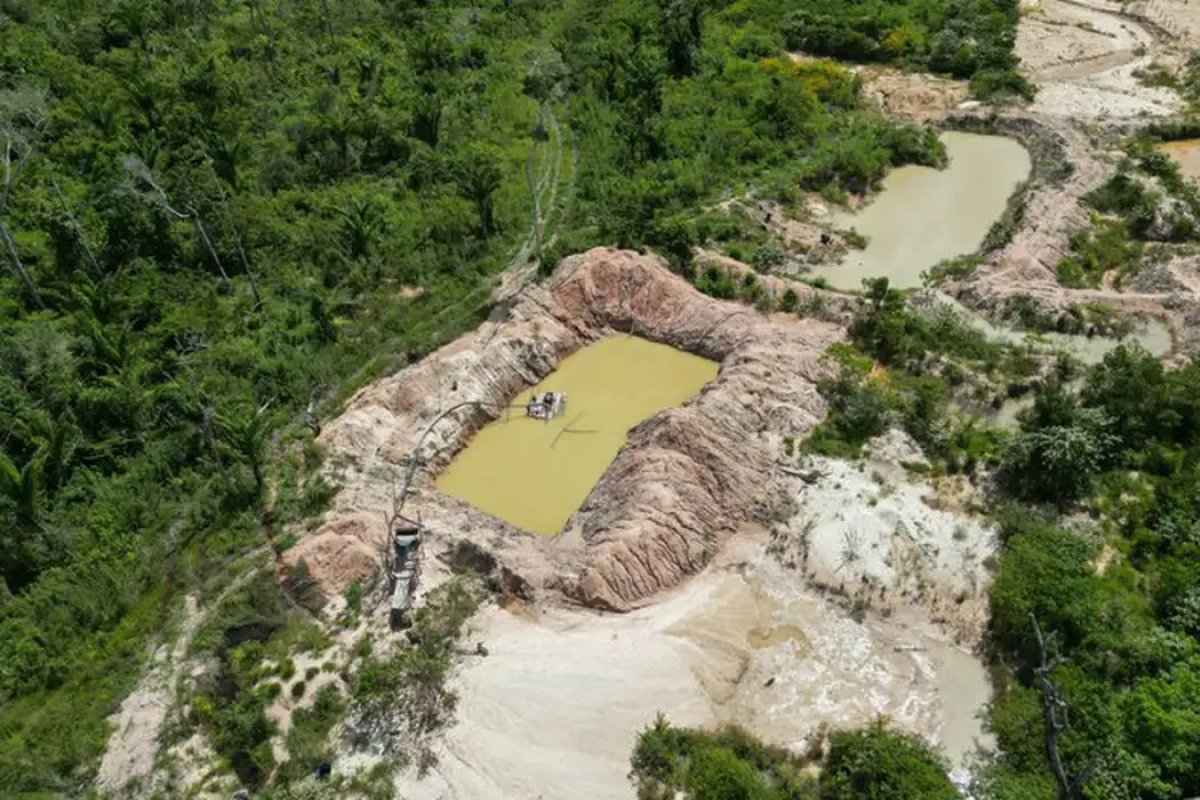Polícia Federal fecha três garimpos em Terra Indígena Kayapó no Pará