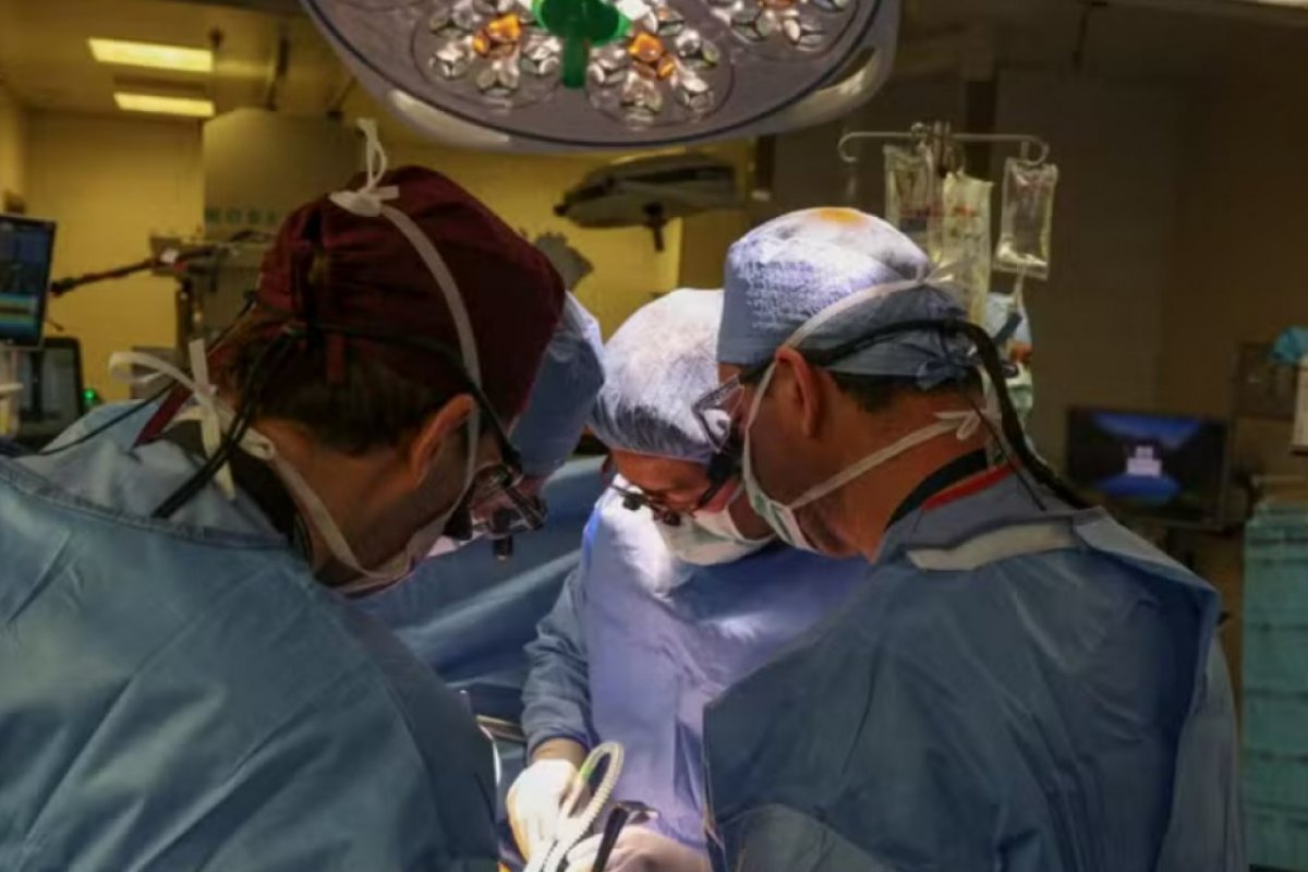 Primeiro paciente a receber rim de porco morre após dois meses de cirurgia
