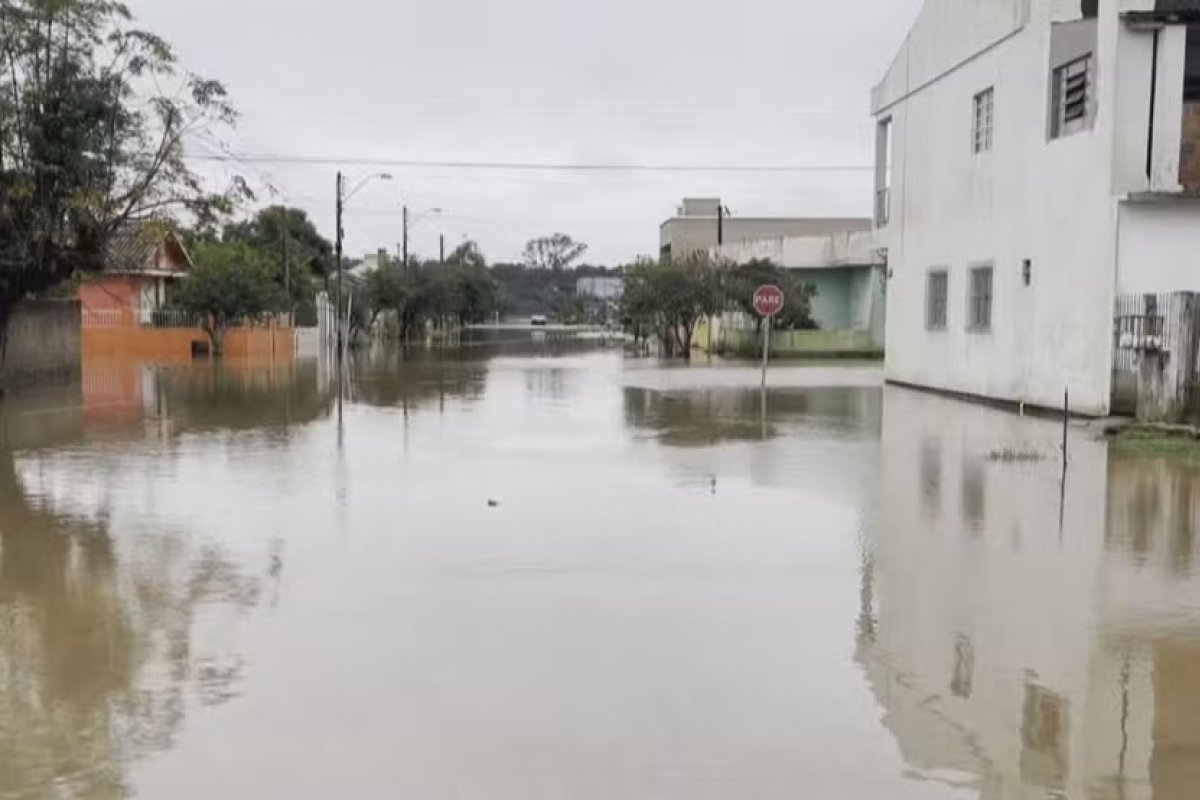 Quaest: 31% dos brasileiros já receberam fake news sobre as enchentes no RS