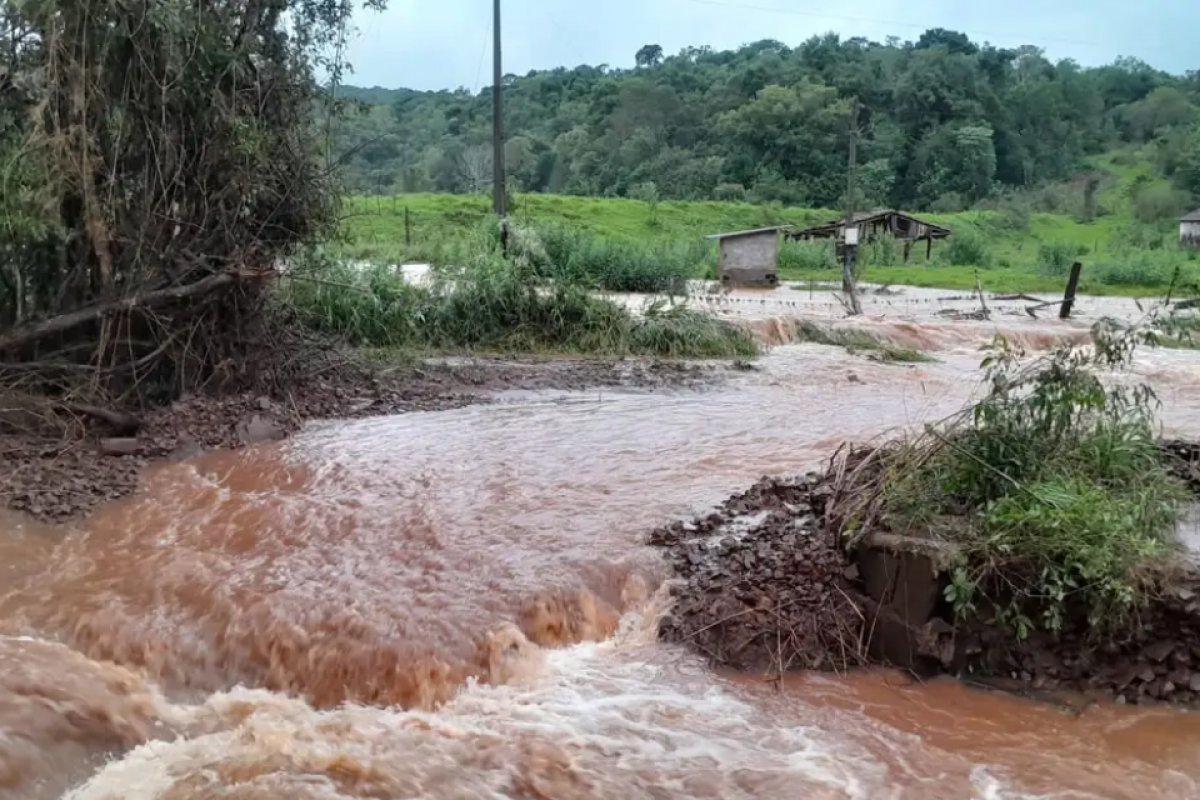 Vídeo: "O Vale do Taquari fede a morte", diz voluntário que atua no socorro