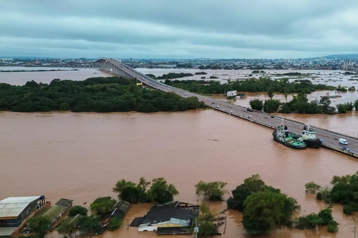 Pós-enchente: Rio Grande do Sul se prepara para surtos de leptospirose e hepatite