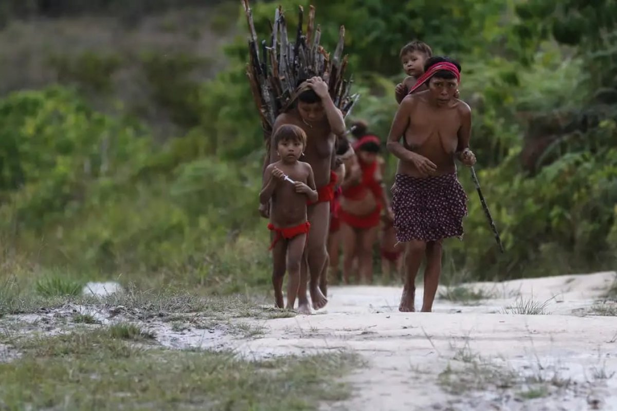 Comissão externa da Câmara vai investigar crise humanitária de Yanomamis
