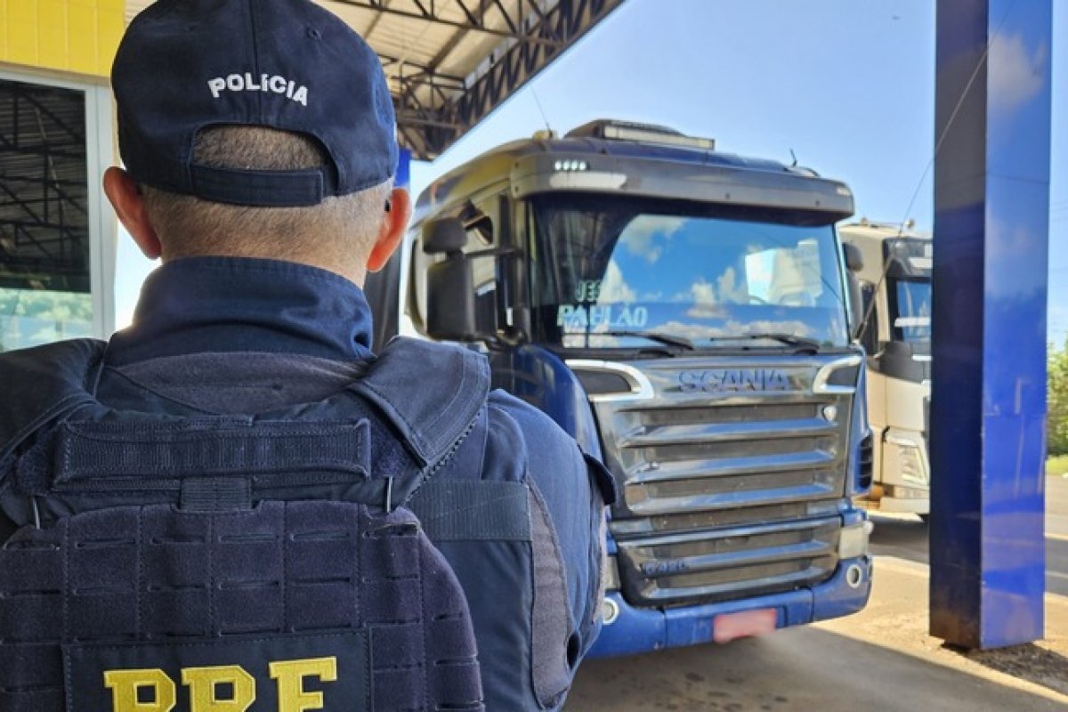 No Maranhão, PRF apreende carregamento de madeira ilegal na BR-230