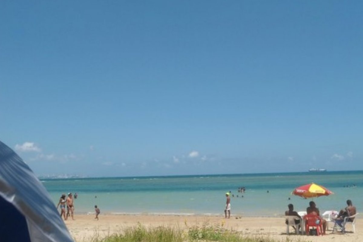 Tartaruga é encontrada morta na Ilha de Itaparica