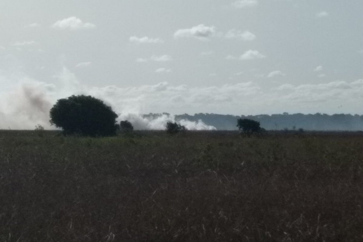 Vegetação de reserva ambiental em Canavieiras é atingida por incêndio