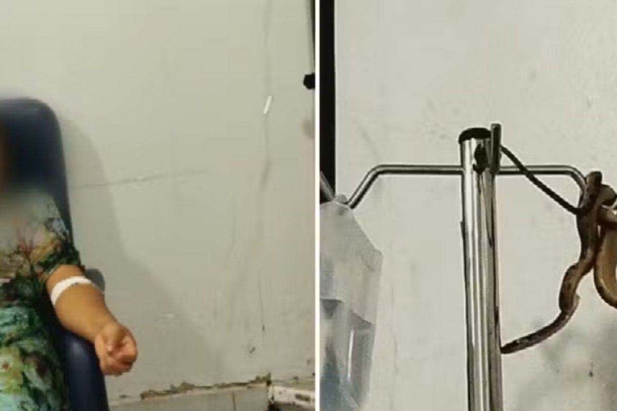 Cobra cai do teto e assusta paciente em unidade de saúde em Goiás