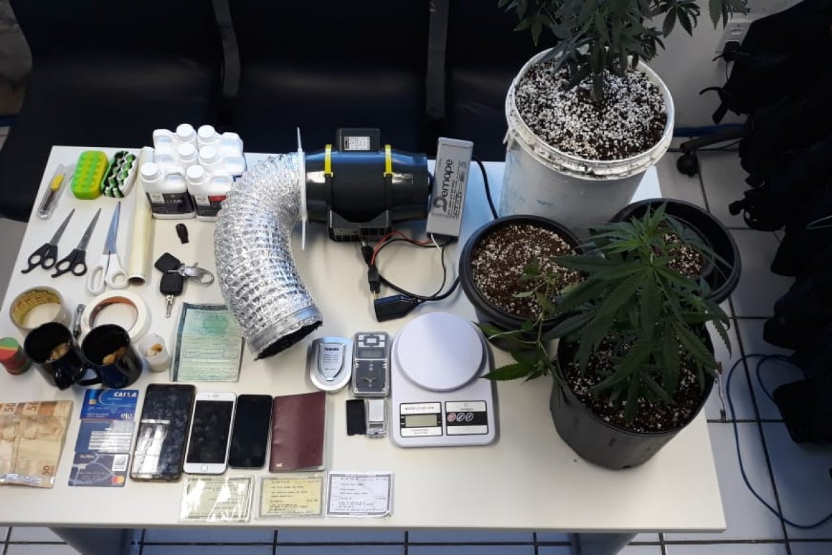 Três homens são apreendidos com drogas sintéticas em Stella Maris