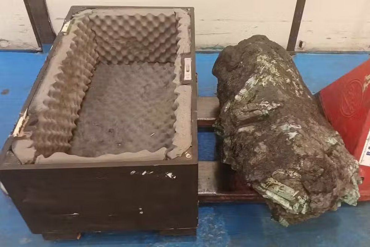Receita Federal leiloa pedra preciosa de R$115 milhões encontrada na Bahia