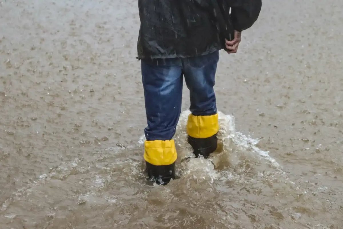 RS já registrou 1.380 casos e 4 mortes por leptospirose