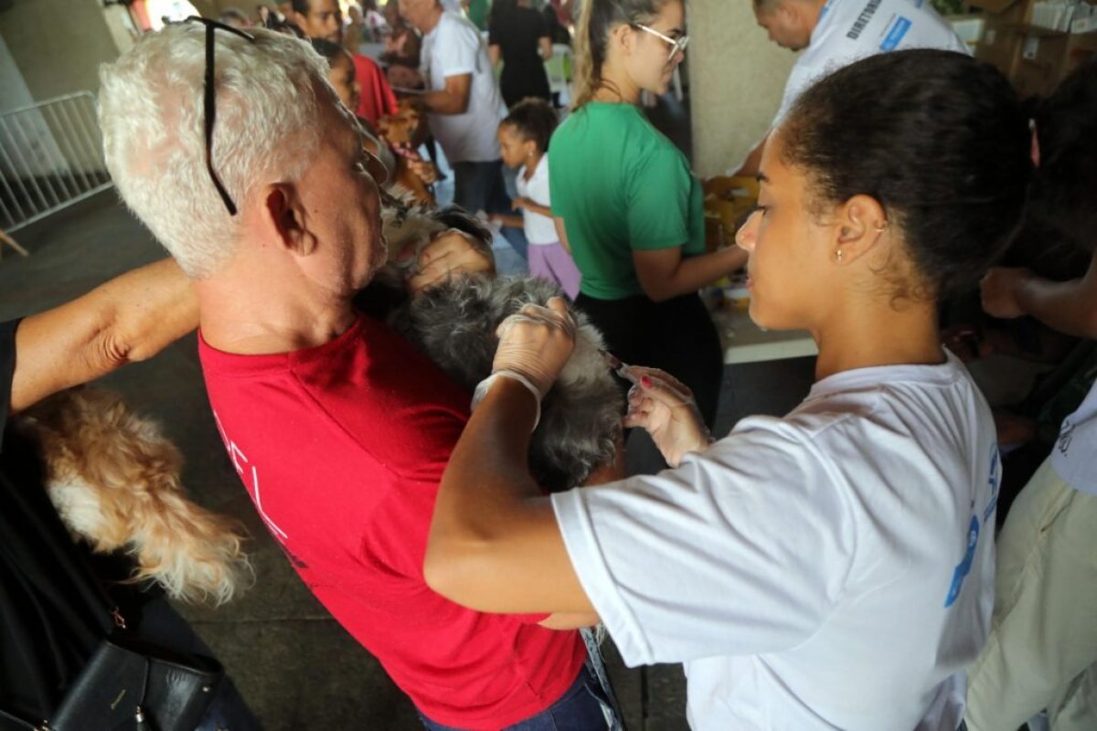 Diretoria de Proteção Animal abre vagas para voluntários em ações da vacinação V10