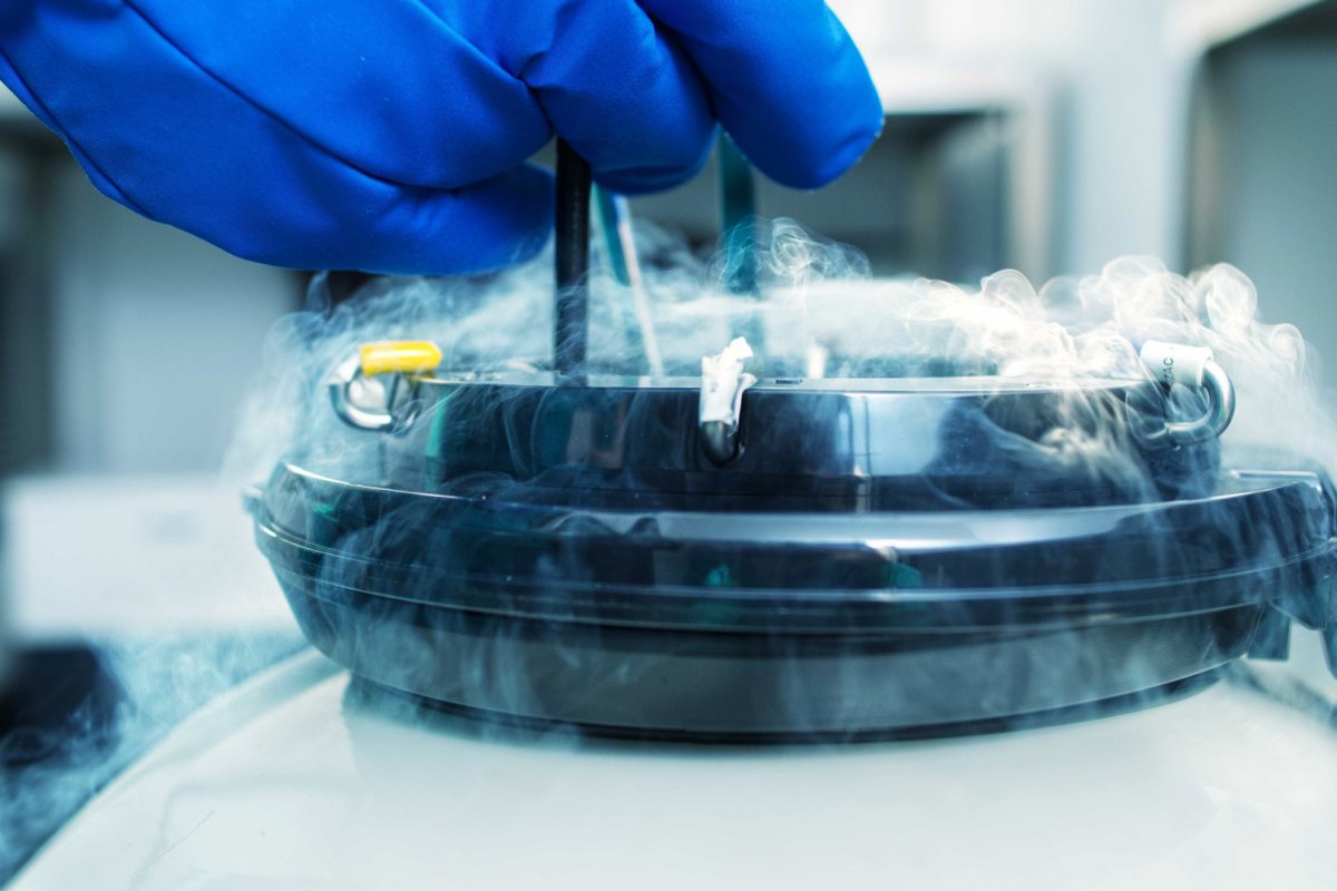 Congelamento de óvulos cresce entre jovens, mas ainda é inacessível para maioria das mulheres