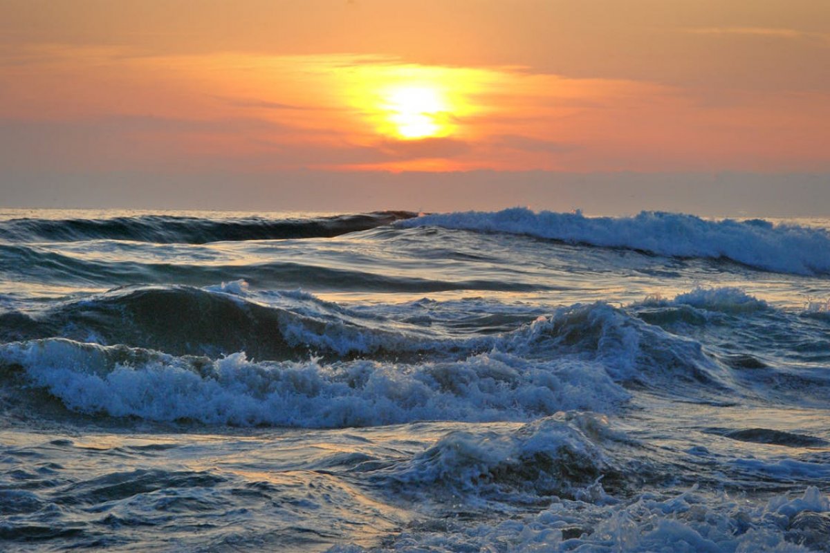 Relatórios sobre oceano aponta aquecimento, acidificação e queda de O²