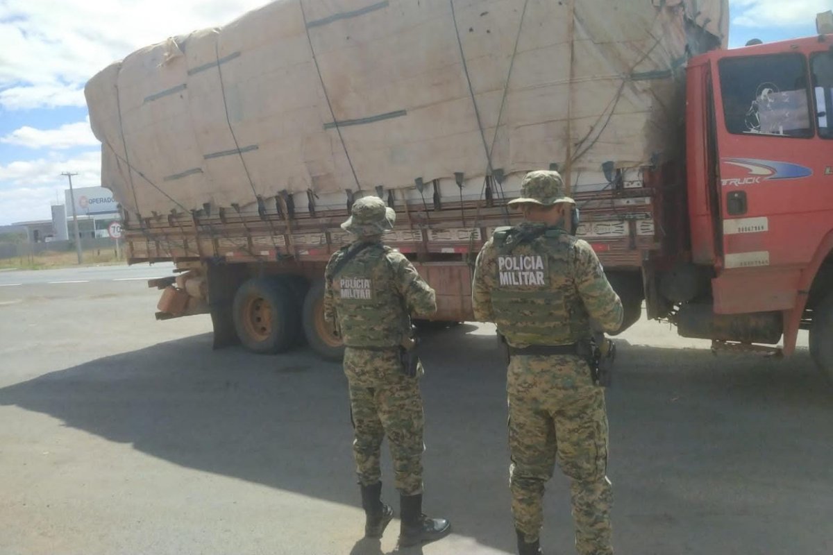Caminhão carregado com madeira de origem ilegal é apreendido pela polícia na Bahia