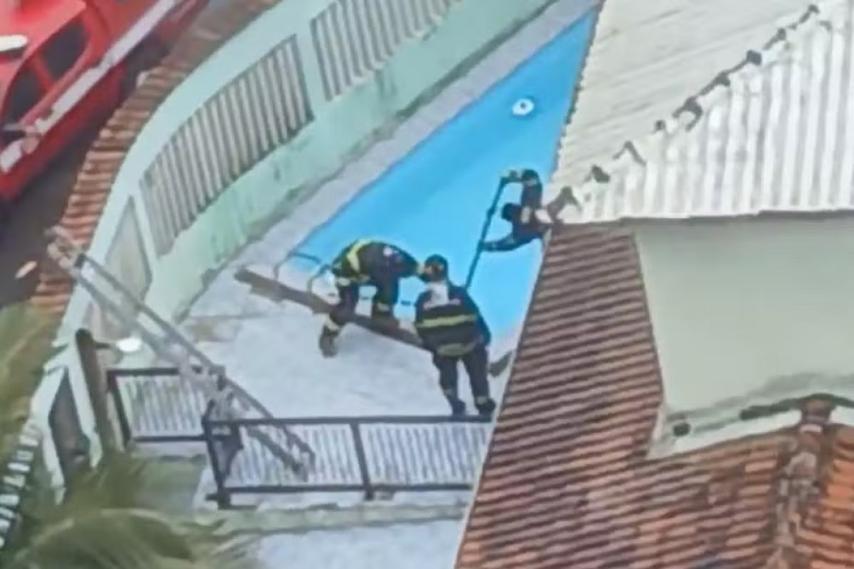 Vídeo: cachorro é resgatado pelo Corpo de Bombeiros após ficar 'preso' em piscina