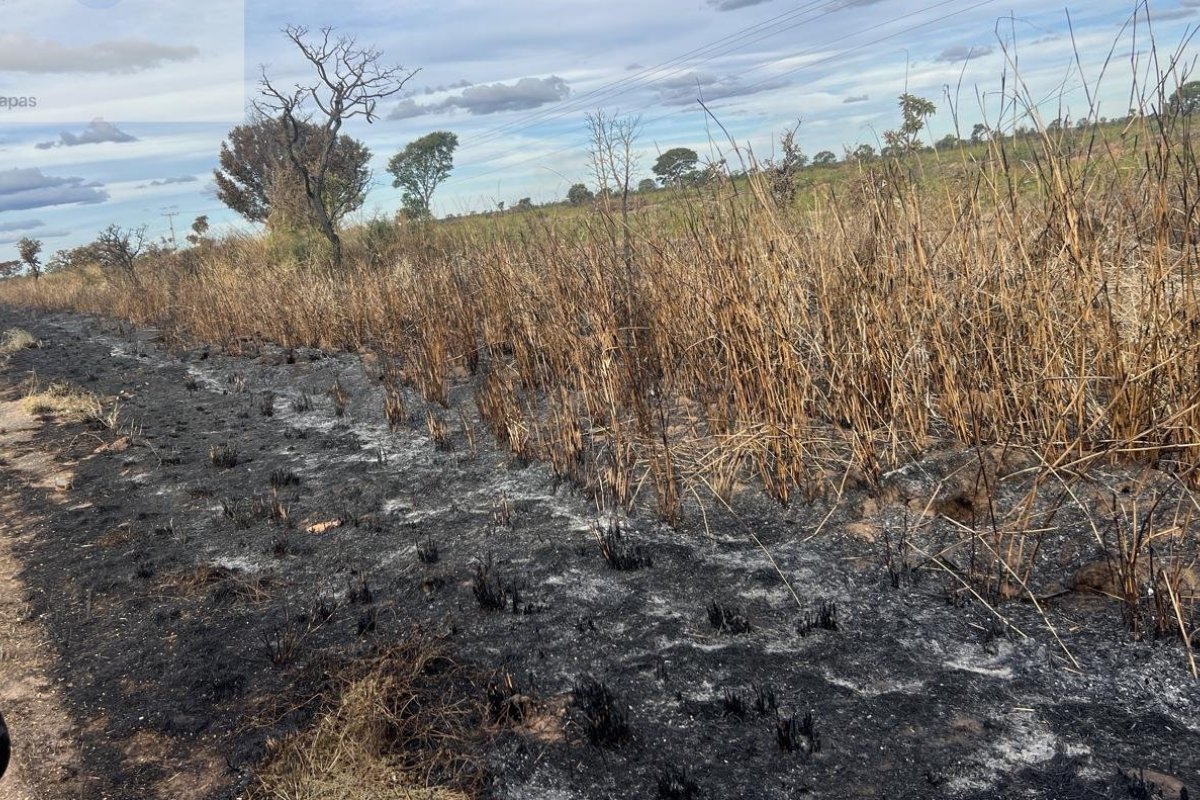Suspeito de incêndios criminosos em Luís Eduardo Magalhães é detido na BR–242