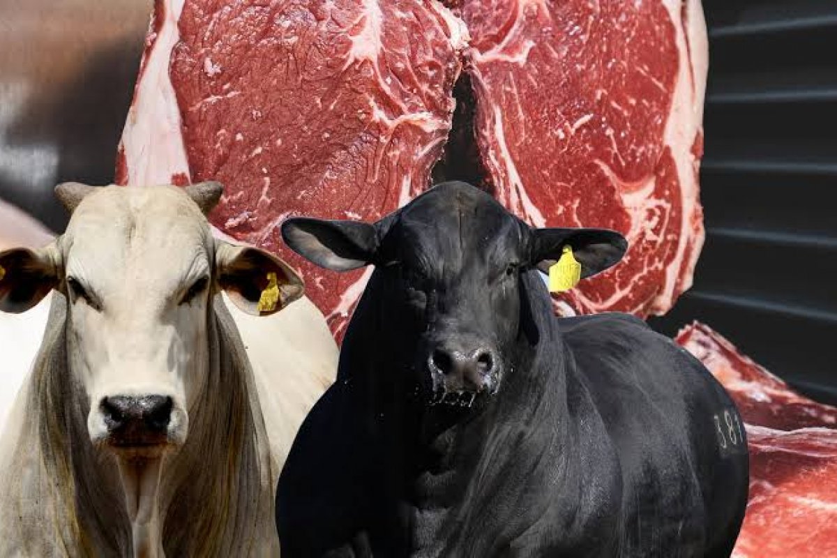 Brasileiros gastam 35% do orçamento de proteínas com carnes bovinas!