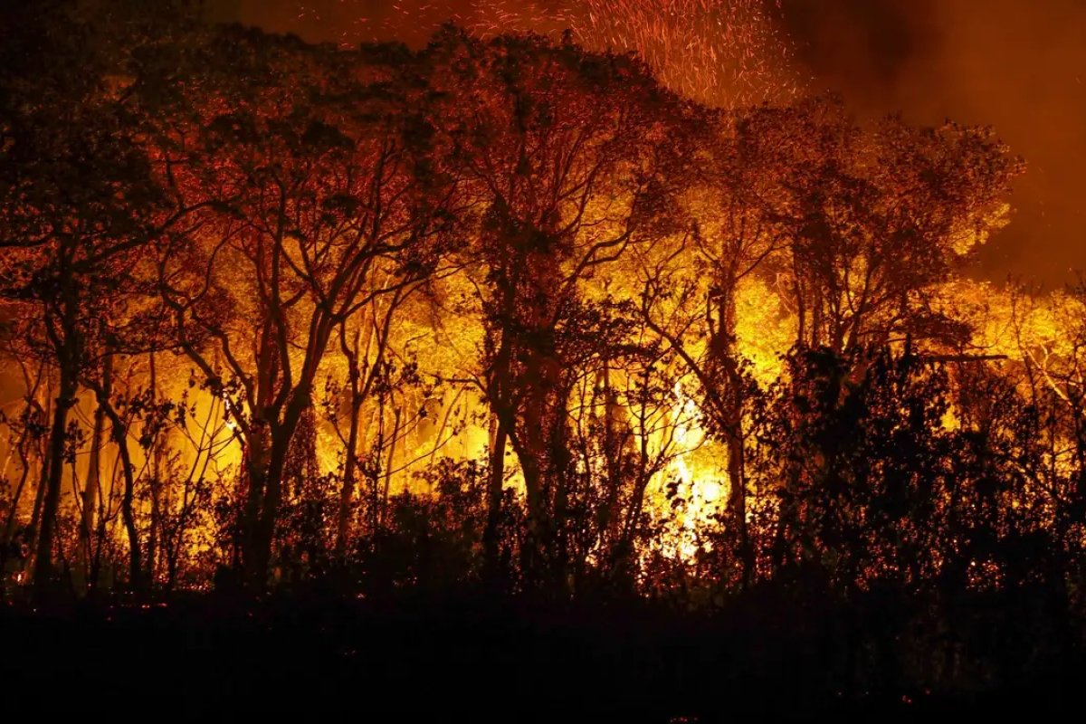 Incêndios no Pantanal têm aumento de mais de 1000% e bacia do rio Paraguai tem seca recorde