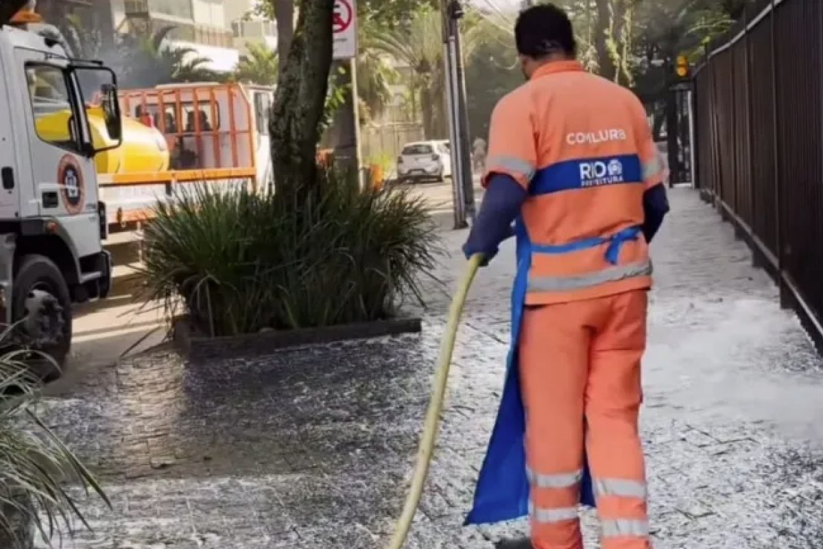 Polícia Civil investiga o envenenamento de quase 40 cães no Rio de Janeiro
