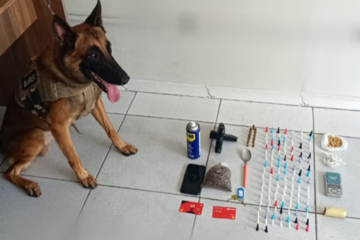 Trio é preso em flagrante com arma e drogas no extremo sul da Bahia