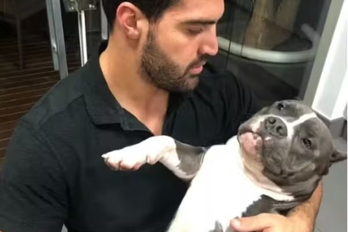 Latam é obrigada a indenizar casal em R$ 30 mil por morte de cachorro em voo