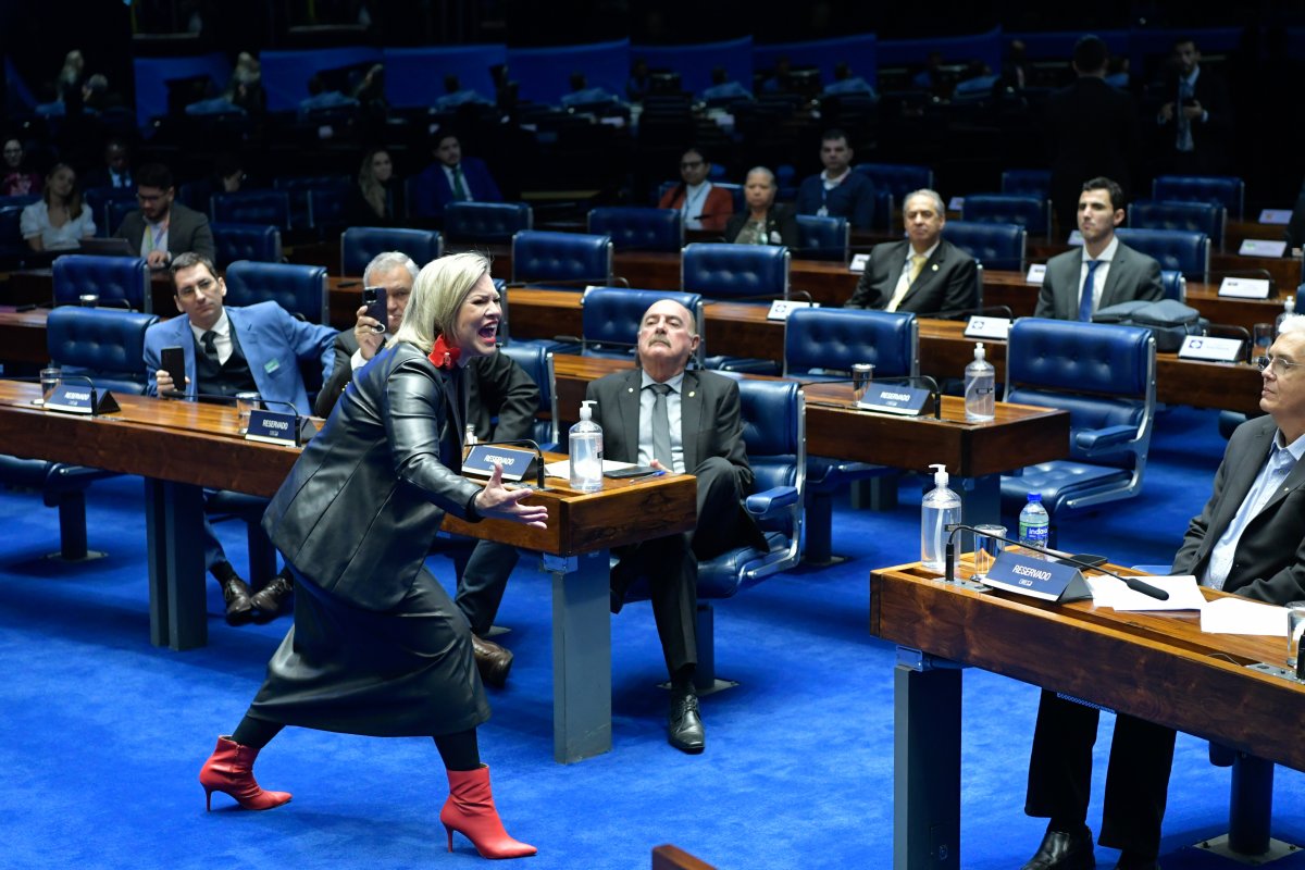 Vídeo: contadora de histórias faz performance contra procedimento de aborto em audiência do Senado