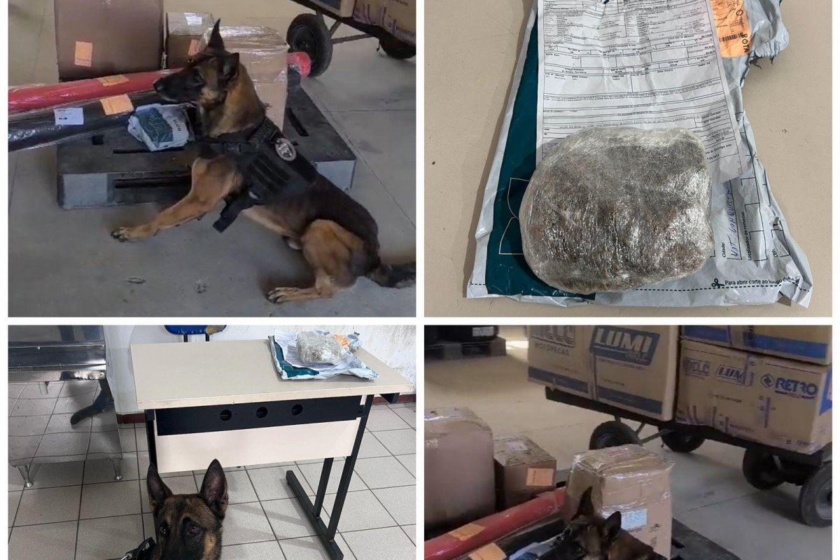 PM intercepta droga enviada por encomenda em Vitória da Conquista
